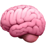 Brain Icon