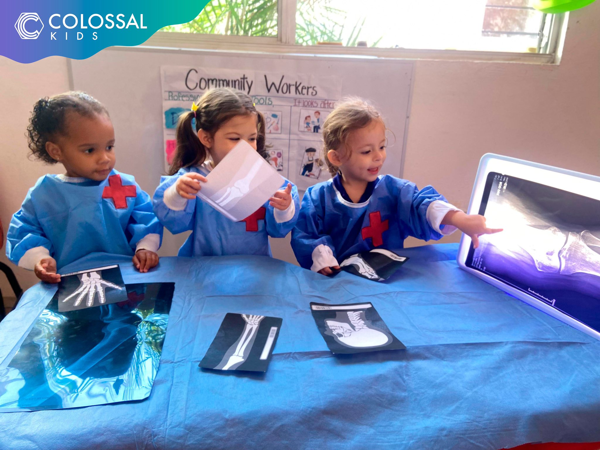 Proyectos Interdisciplinarios